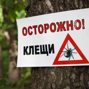 ОСТОРОЖНО, КЛЕЩИ!